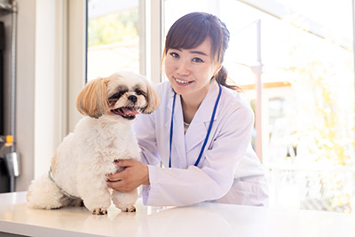 獣医学部のイメージ