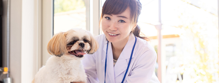 獣医学部受験科コース
